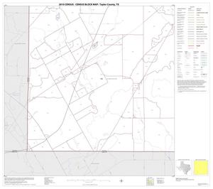 Primary view of object titled '2010 Census County Block Map: Taylor County, Block 13'.