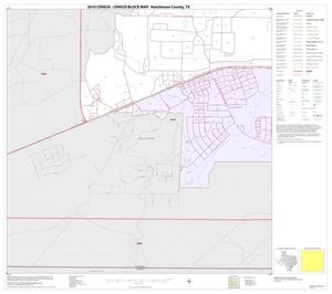 2010 Census County Block Map: Hutchinson County, Inset C05