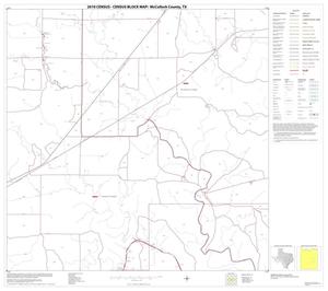 2010 Census County Block Map: McCulloch County, Block 19