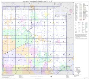 Primary view of object titled '2010 Census County Block Map: Collin County, Index'.