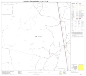 2010 Census County Block Map: Kenedy County, Block 17
