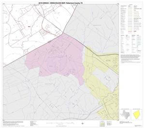 2010 Census County Block Map: Robertson County, Block 21