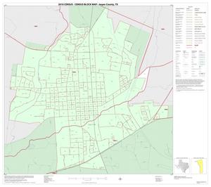 2010 Census County Block Map: Jasper County, Inset A01