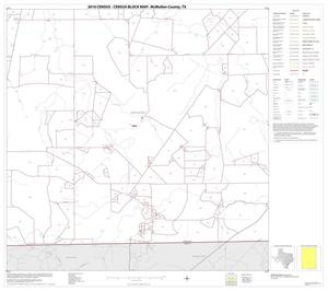 2010 Census County Block Map: McMullen County, Block 7