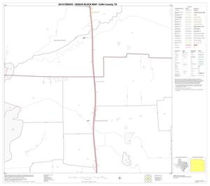 2010 Census County Block Map: Collin County, Block 48