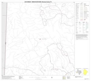 2010 Census County Block Map: Brewster County, Block 81