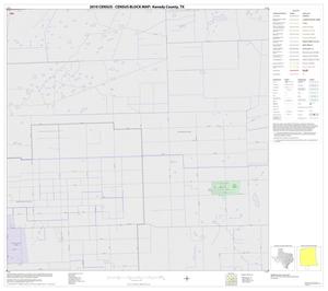 2010 Census County Block Map: Kenedy County, Block 28