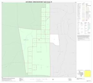 2010 Census County Block Map: Taylor County, Inset F01