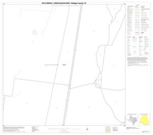 2010 Census County Block Map: Hidalgo County, Block 11