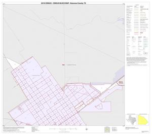 2010 Census County Block Map: Atascosa County, Inset D01