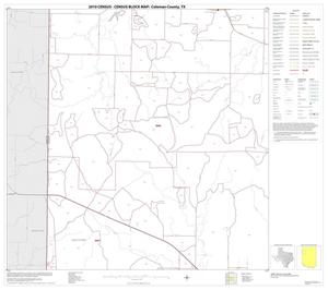 2010 Census County Block Map: Coleman County, Block 5