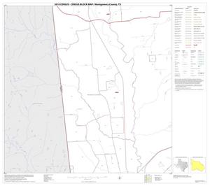 2010 Census County Block Map: Montgomery County, Block 11