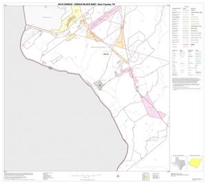 2010 Census County Block Map: Starr County, Block 14