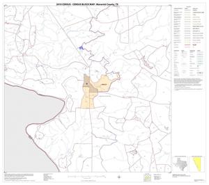 2010 Census County Block Map: Maverick County, Block 17