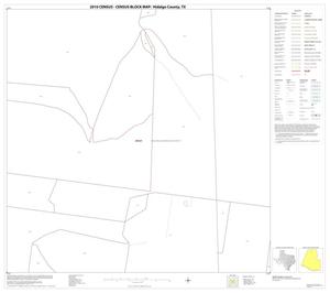2010 Census County Block Map: Hidalgo County, Block 10