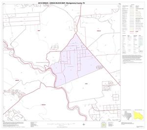 2010 Census County Block Map: Montgomery County, Block 39