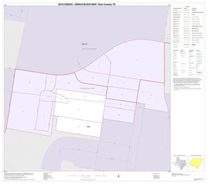 2010 Census County Block Map: Starr County, Inset D01