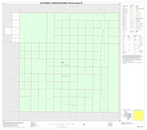 2010 Census County Block Map: Briscoe County, Inset B01
