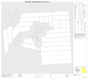 2010 Census County Block Map: Tyler County, Inset A01