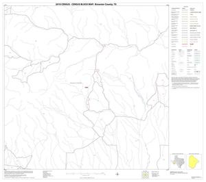 2010 Census County Block Map: Brewster County, Block 48