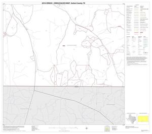 2010 Census County Block Map: Sutton County, Block 21