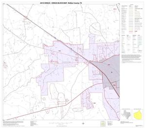 2010 Census County Block Map: Walker County, Block 13