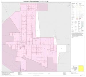 2010 Census County Block Map: Concho County, Inset D01