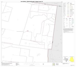 2010 Census County Block Map: Hidalgo County, Block 28