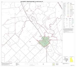 2010 Census County Block Map: Live Oak County, Block 10