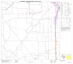 2010 Census County Block Map: Cooke County, Block 20