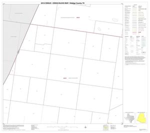 2010 Census County Block Map: Hidalgo County, Block 38