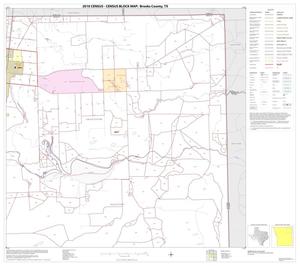 2010 Census County Block Map: Brooks County, Block 4