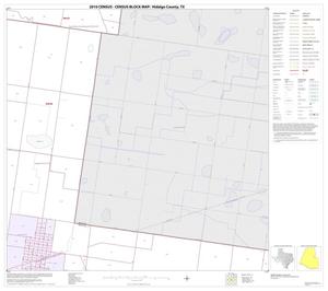 2010 Census County Block Map: Hidalgo County, Block 45