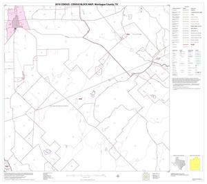 2010 Census County Block Map: Montague County, Block 13