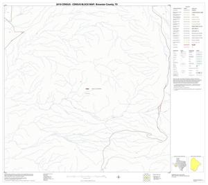 2010 Census County Block Map: Brewster County, Block 90