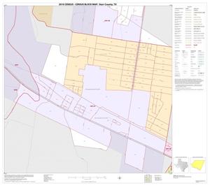 2010 Census County Block Map: Starr County, Inset G02