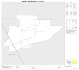 2010 Census County Block Map: Gaines County, Inset A01