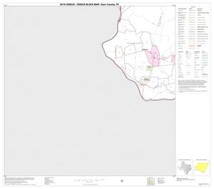2010 Census County Block Map: Starr County, Block 21
