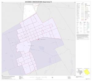 2010 Census County Block Map: Bosque County, Inset A01