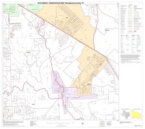 2010 Census County Block Map: Montgomery County, Block 35