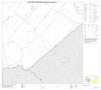 Map: 2010 Census County Block Map: Karnes County, Block 20