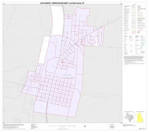 2010 Census County Block Map: Live Oak County, Inset B01