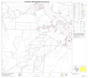 2010 Census County Block Map: Coke County, Block 6