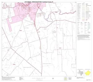 2010 Census County Block Map: Guadalupe County, Block 16