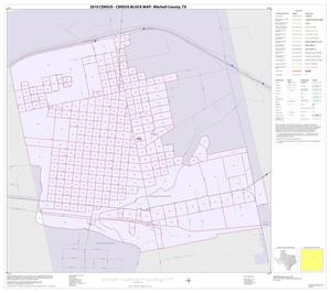 Primary view of object titled '2010 Census County Block Map: Mitchell County, Inset B01'.