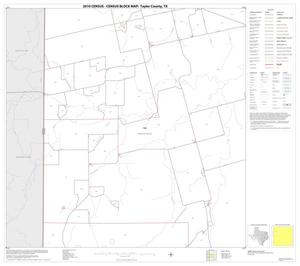 2010 Census County Block Map: Taylor County, Block 5