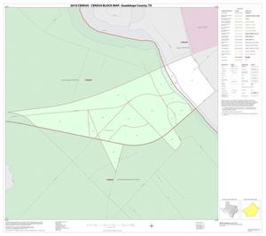 2010 Census County Block Map: Guadalupe County, Inset E01