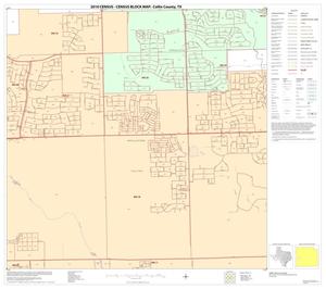2010 Census County Block Map: Collin County, Block 51