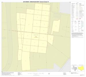 2010 Census County Block Map: Cameron County, Inset D01