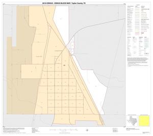 2010 Census County Block Map: Taylor County, Inset G01